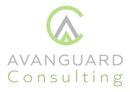 Avanguard Consulting